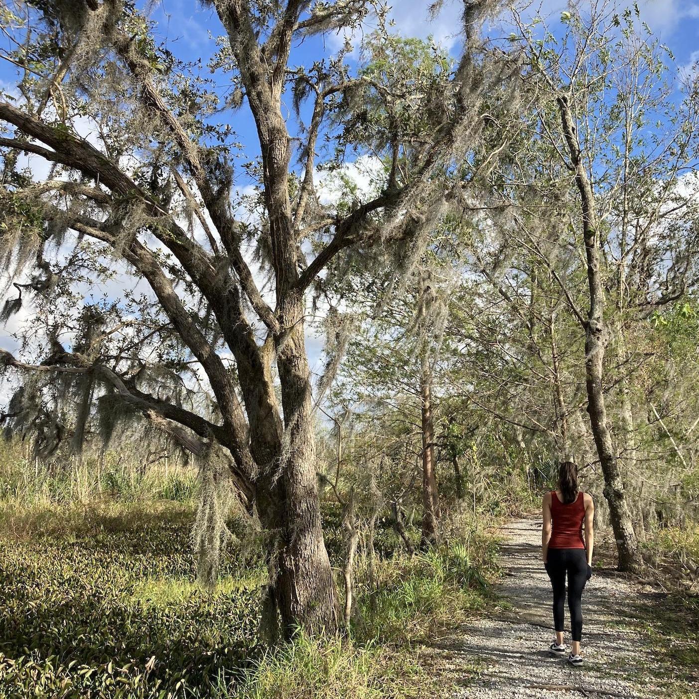 Bayou, Louisiana