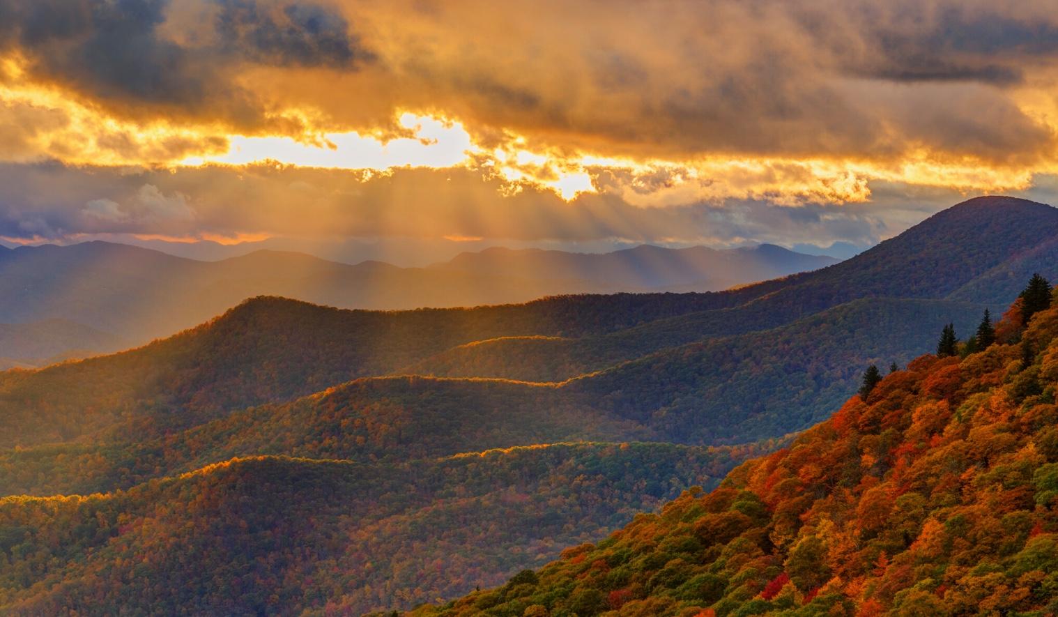 The Wedding Website of Gianna Schutzer and Stoan Bush