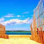 Cupsogue Beach County Park