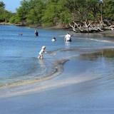 Olowalu (Olowalu) Mile marker 14: Snorkeling