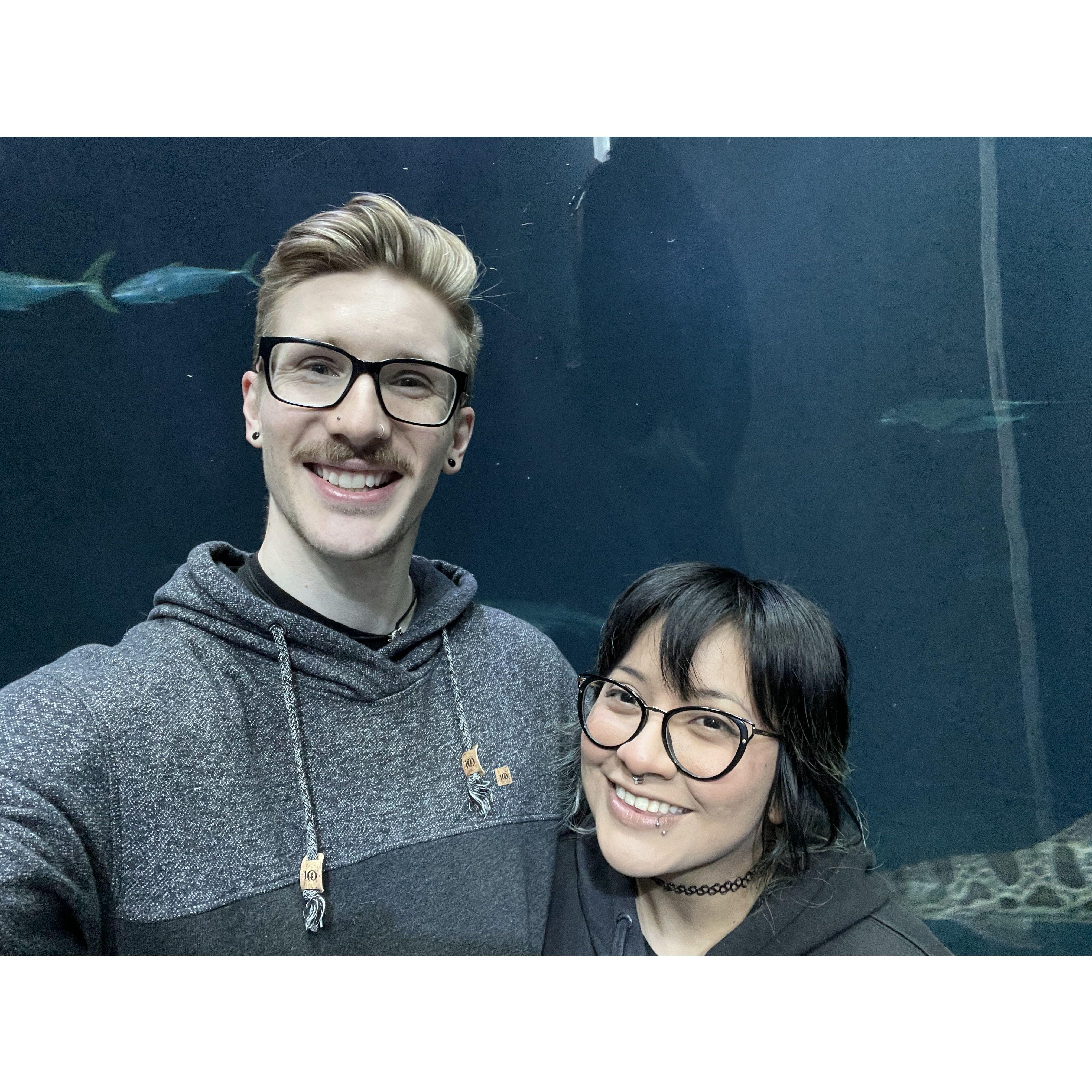 Aquarium