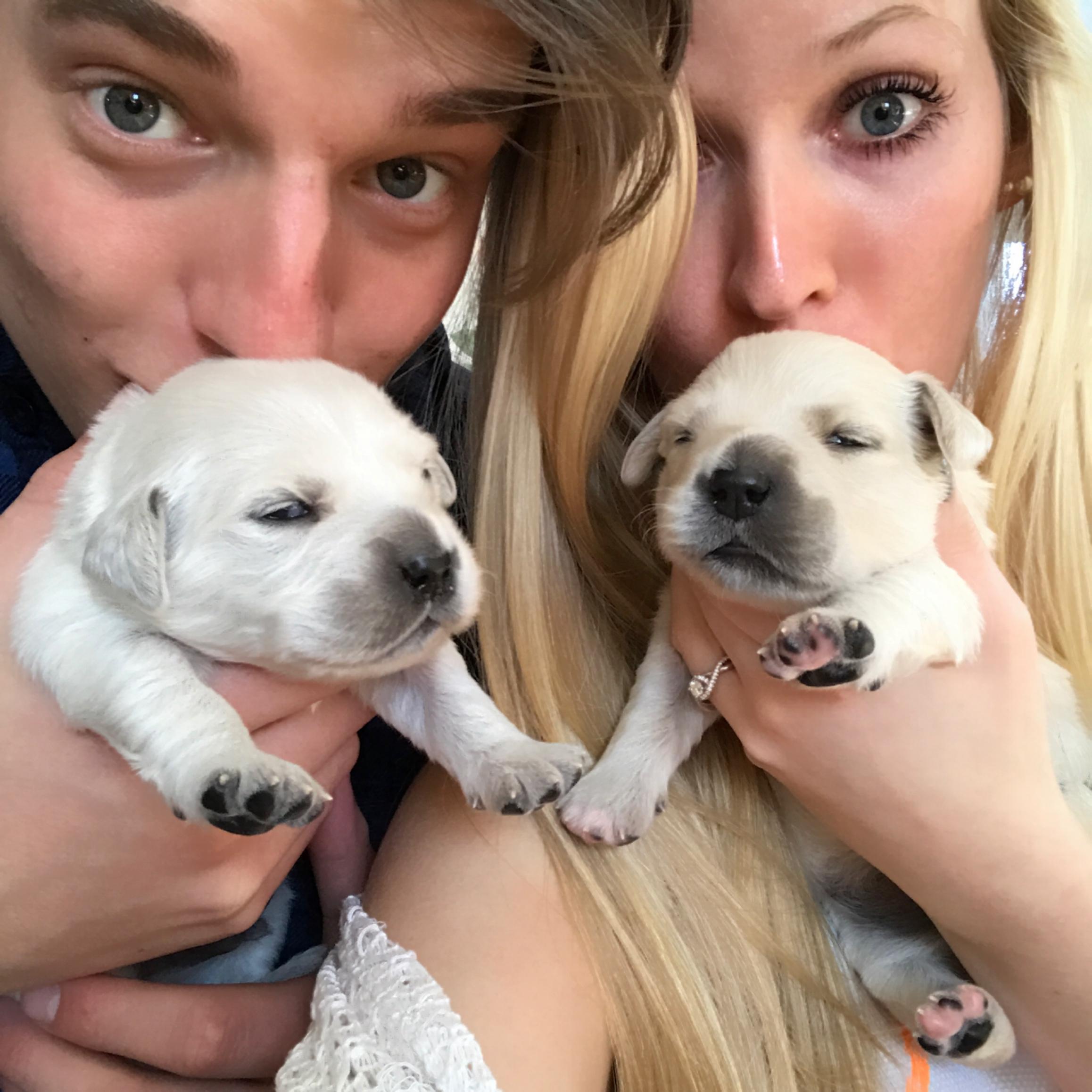 Shortly after our engagement these sweet puppies were born!