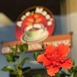 Ane Mae's Coffee and Sandwich Shop
