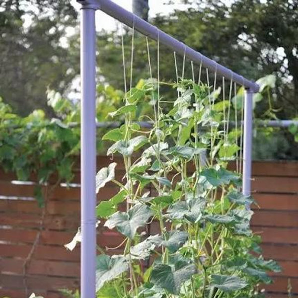 Vegetable Garden Freyr Trellis | designed to support your garden