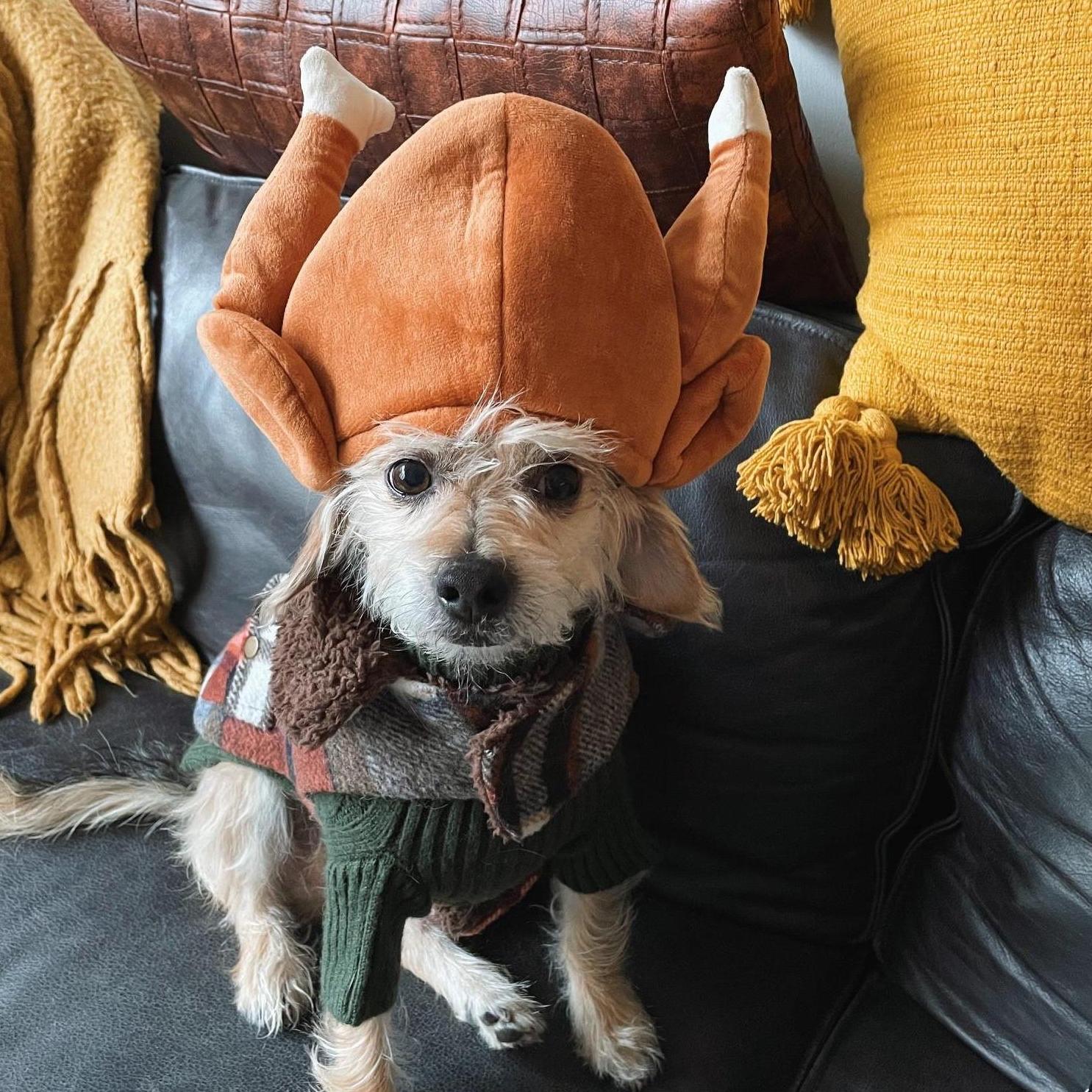 We love Thanksgiving!