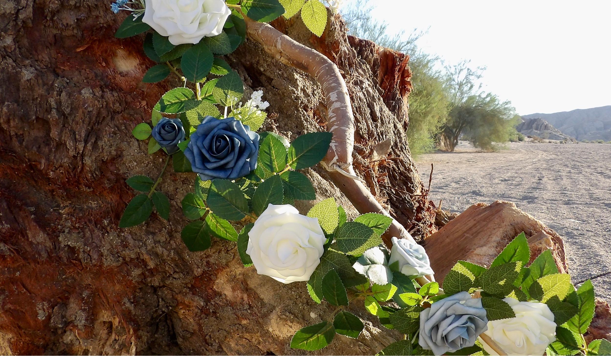 Footer image