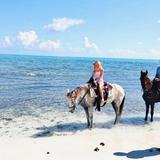Book Wildlife & Nature Tours