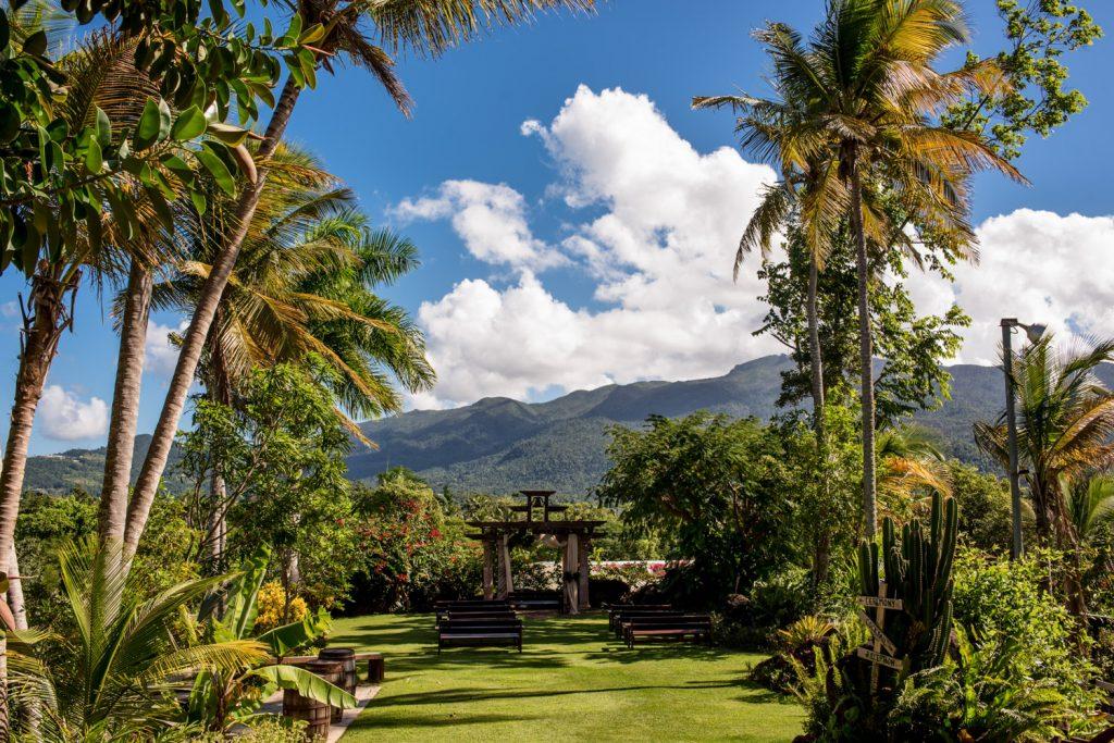 The Wedding Website of Cassie Winkenweder and Michael Harlan