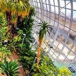 Myriad Botanical Gardens