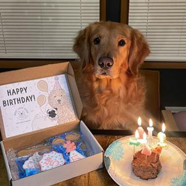 COCO's Treat Fund