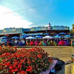 Beach Boulevard South