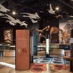 Natural History Museum of Utah