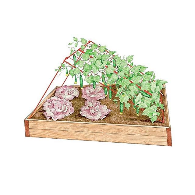 Medium Cucumber Trellis, 32" x 48" with 4" Grids for Easy Harvesting and Plant Support, Red