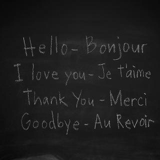 Language Lessons