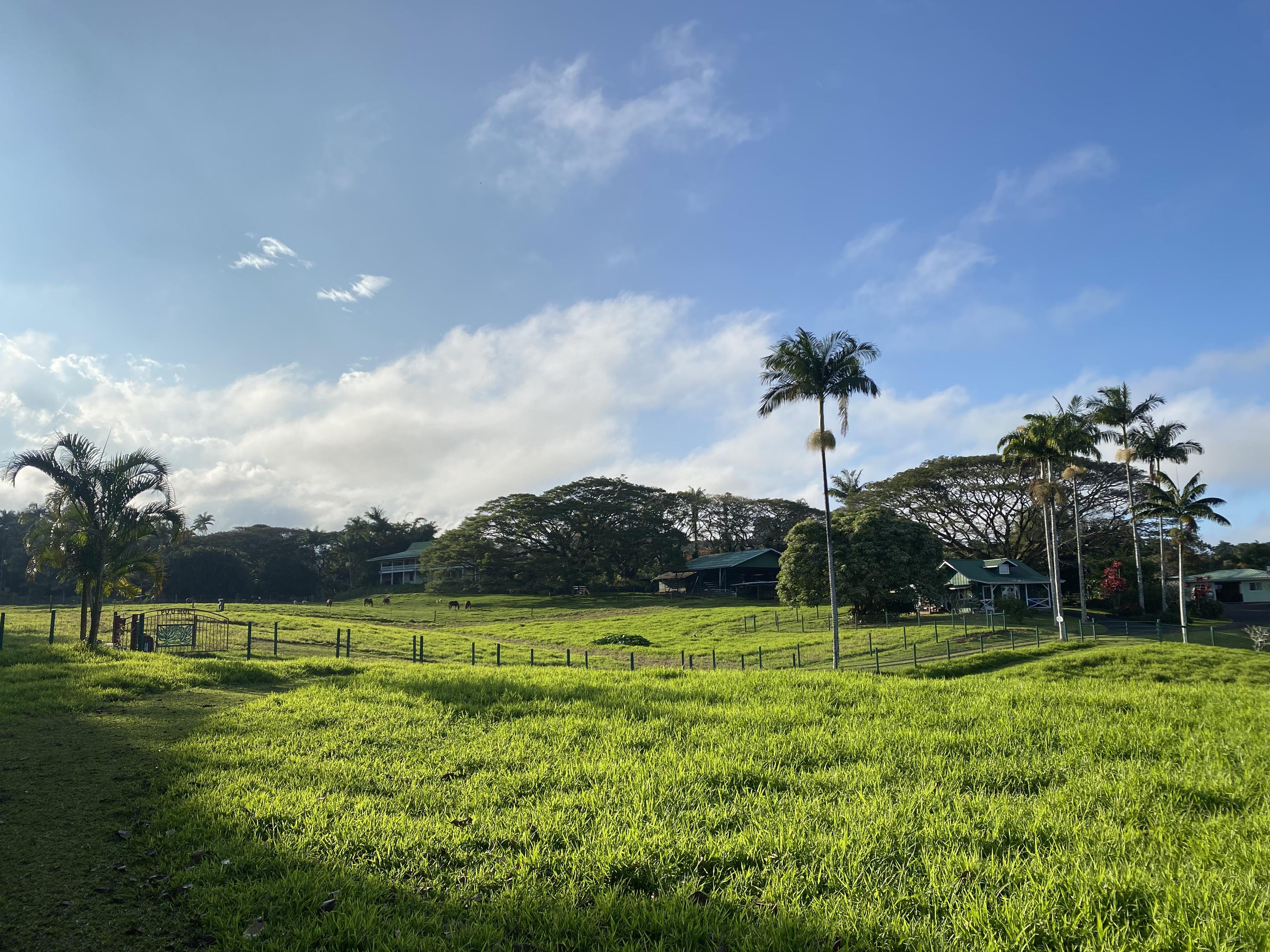 The Wedding Website of Sydney Kapuamealani Zoll and Alexander Xinglin Wang