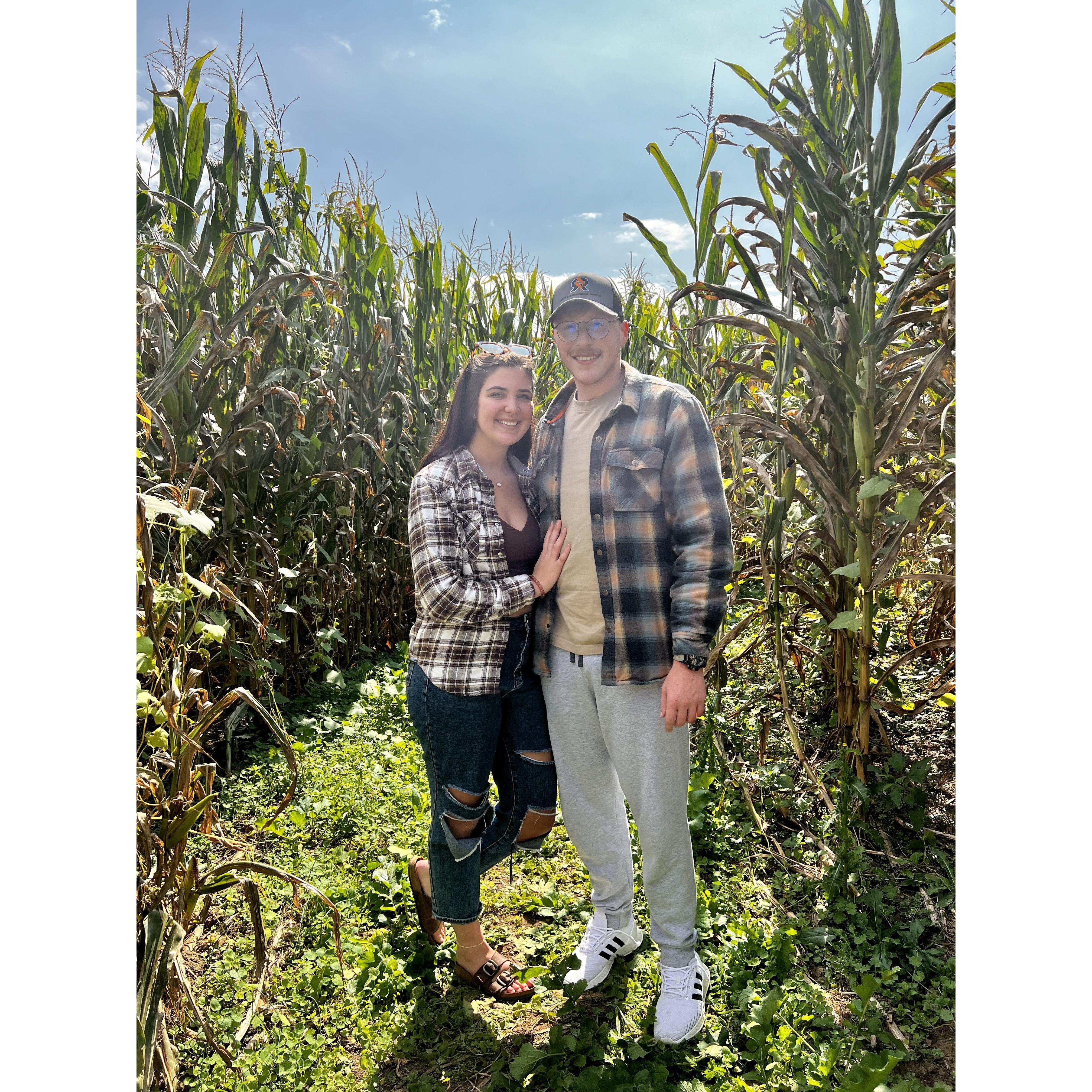 Corn Maze Dayz