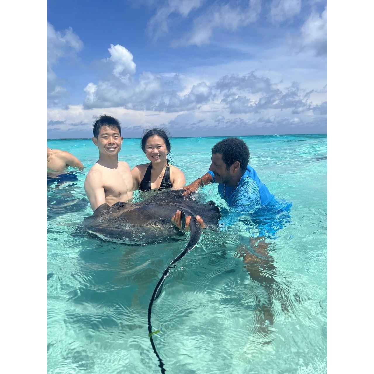 Kissing stingrays feels about as salty and slimy as you'd expect.