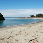 Big River Beach at Mendocino Headlands State Park