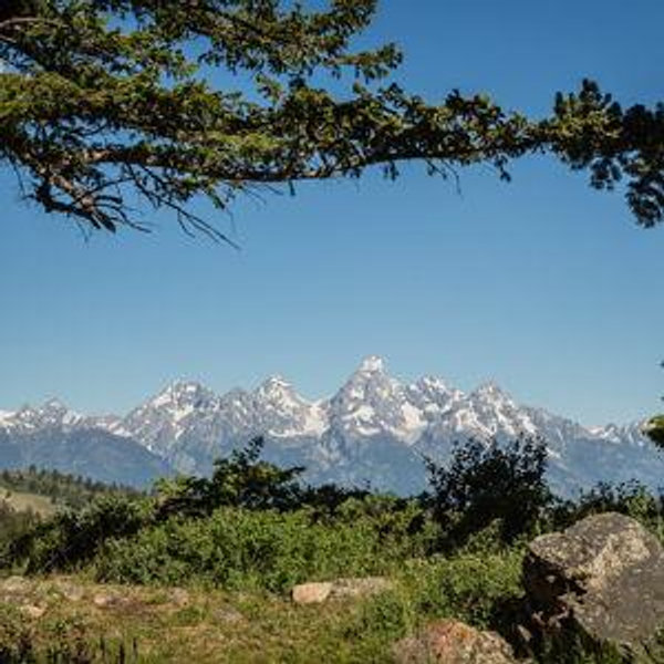 Adventure Fund