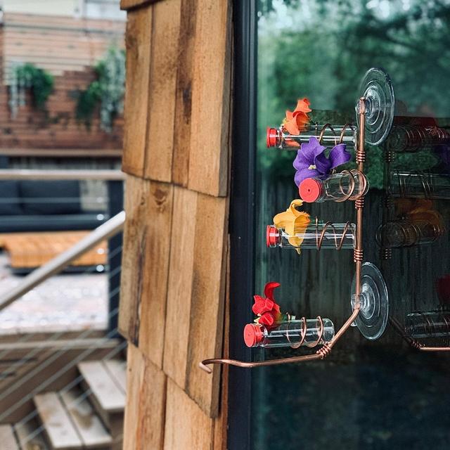 Classic 4 Station Window Hummingbird...
