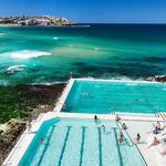 Bondi Icebergs