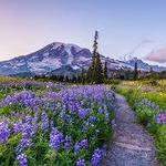 Mount Rainier National Park