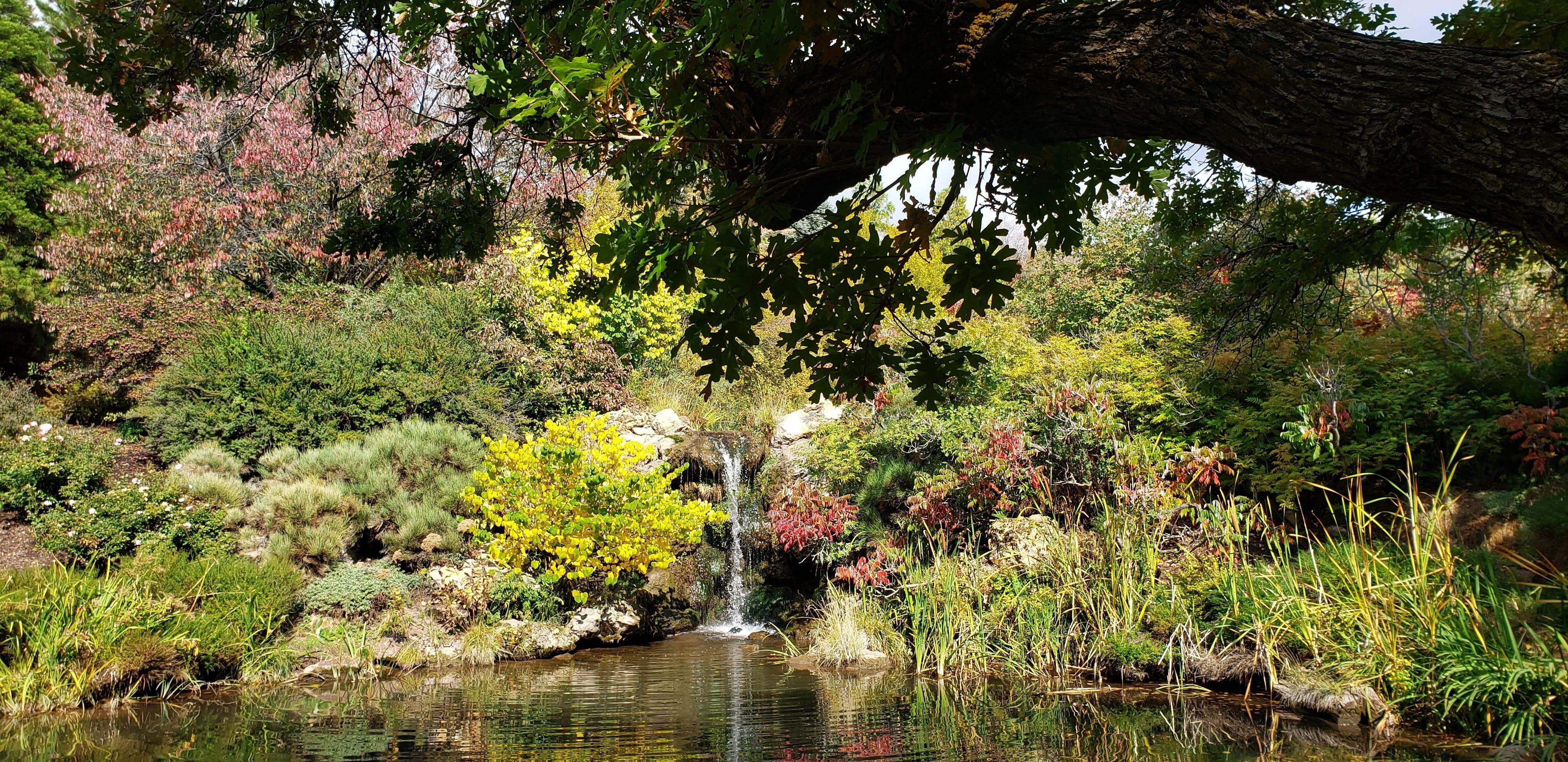 The Wedding Website of Rachel Macchiarola and Alan Worsham