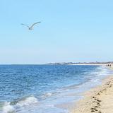 The Beach
