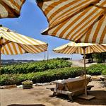 Laetitia Vineyard & Winery