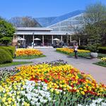 Cleveland Botanical Garden
