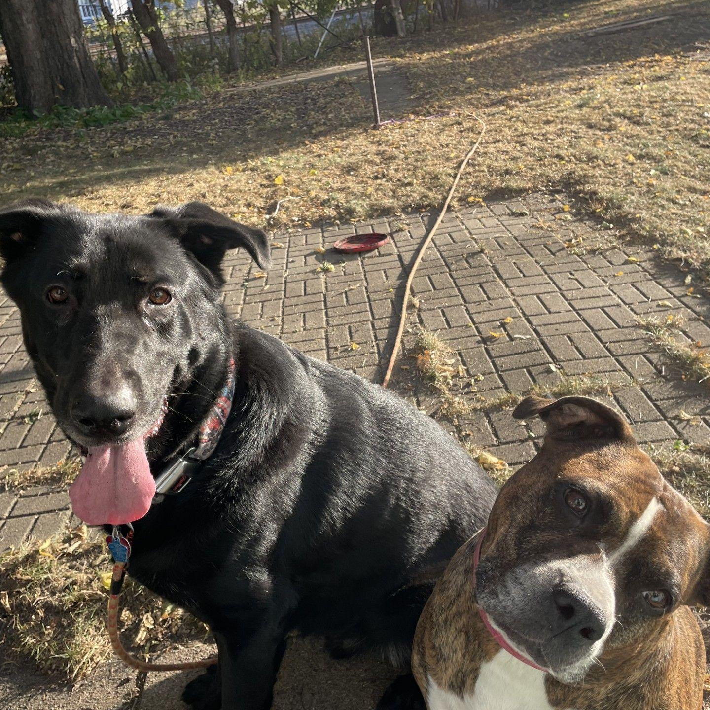 Thor + Vega