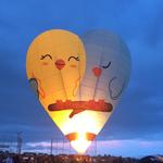 Sonoma County Hot Air Balloon Classic