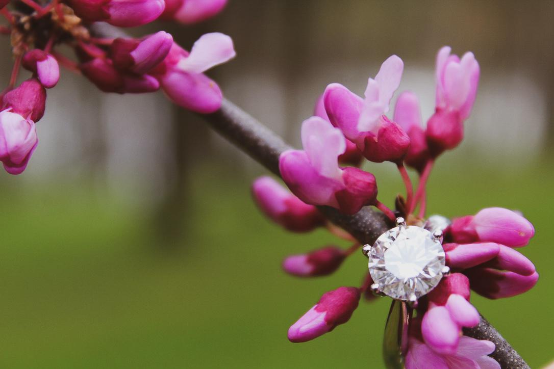 The Wedding Website of Aubrey Weaver and Cole Hanrahan