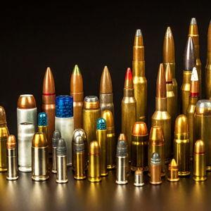 Nik's ammo fund