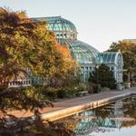 Brooklyn Botanic Garden