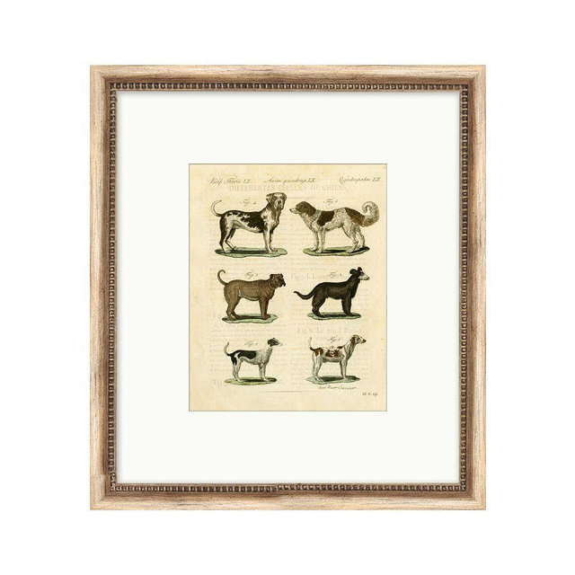 Dog Breeds Chart 2 16x18