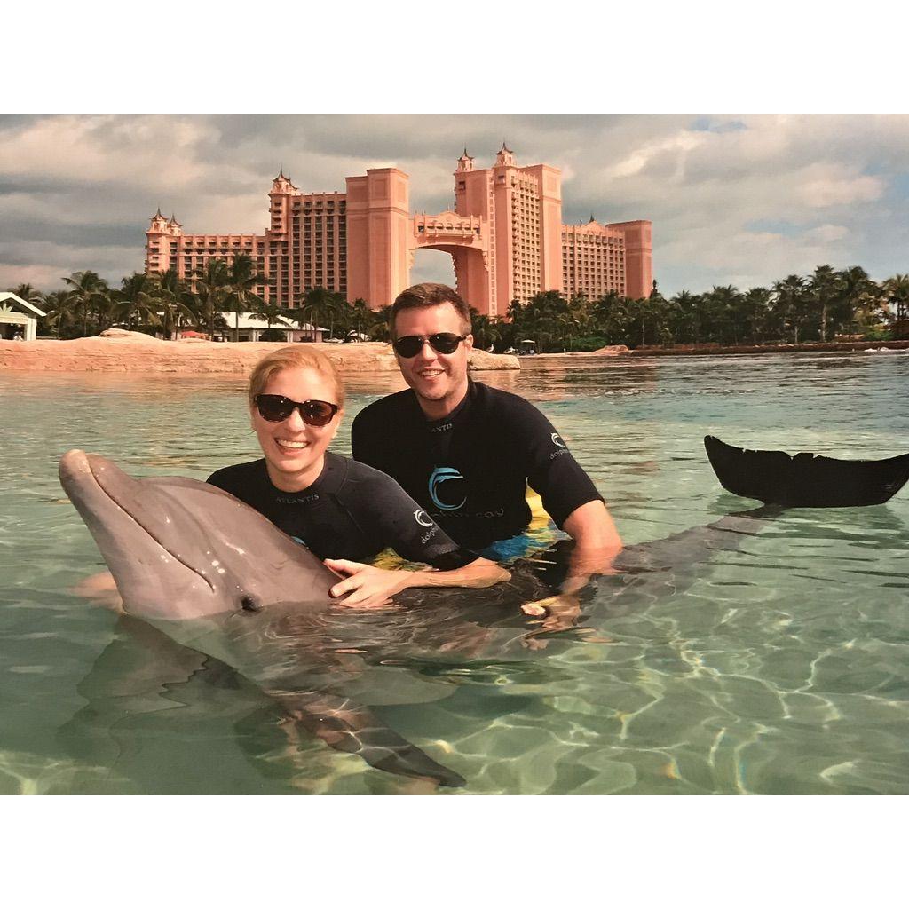January 2018: Atlantis, Bahamas - We highly recommend the Dolphin Encounter!