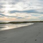 Fish Haul Beach Park (Mitchellville Beach)