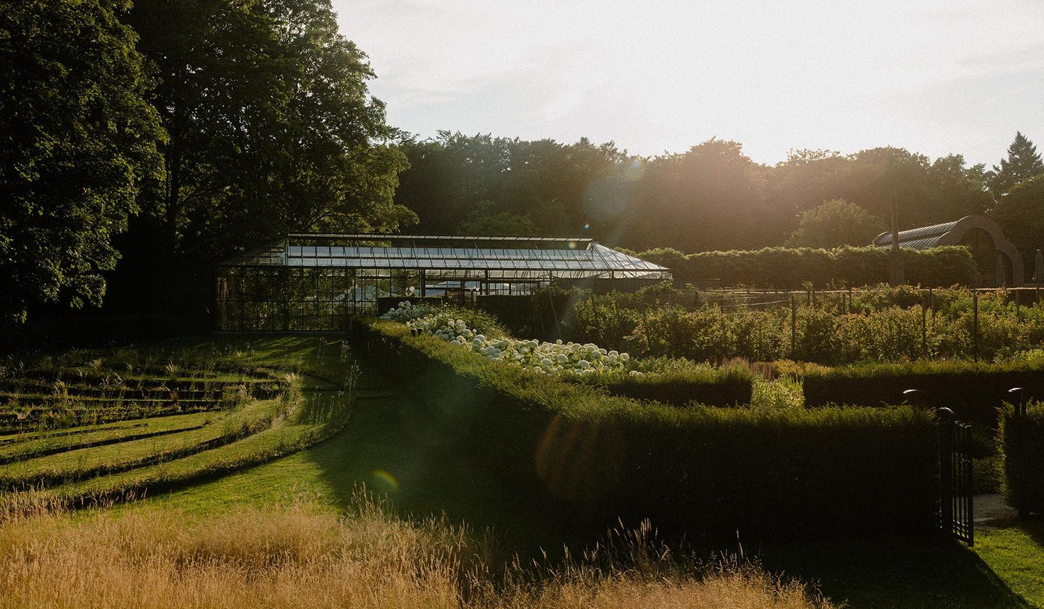 The Wedding Website of Timo Dijkgraaf and Izzy Schneider