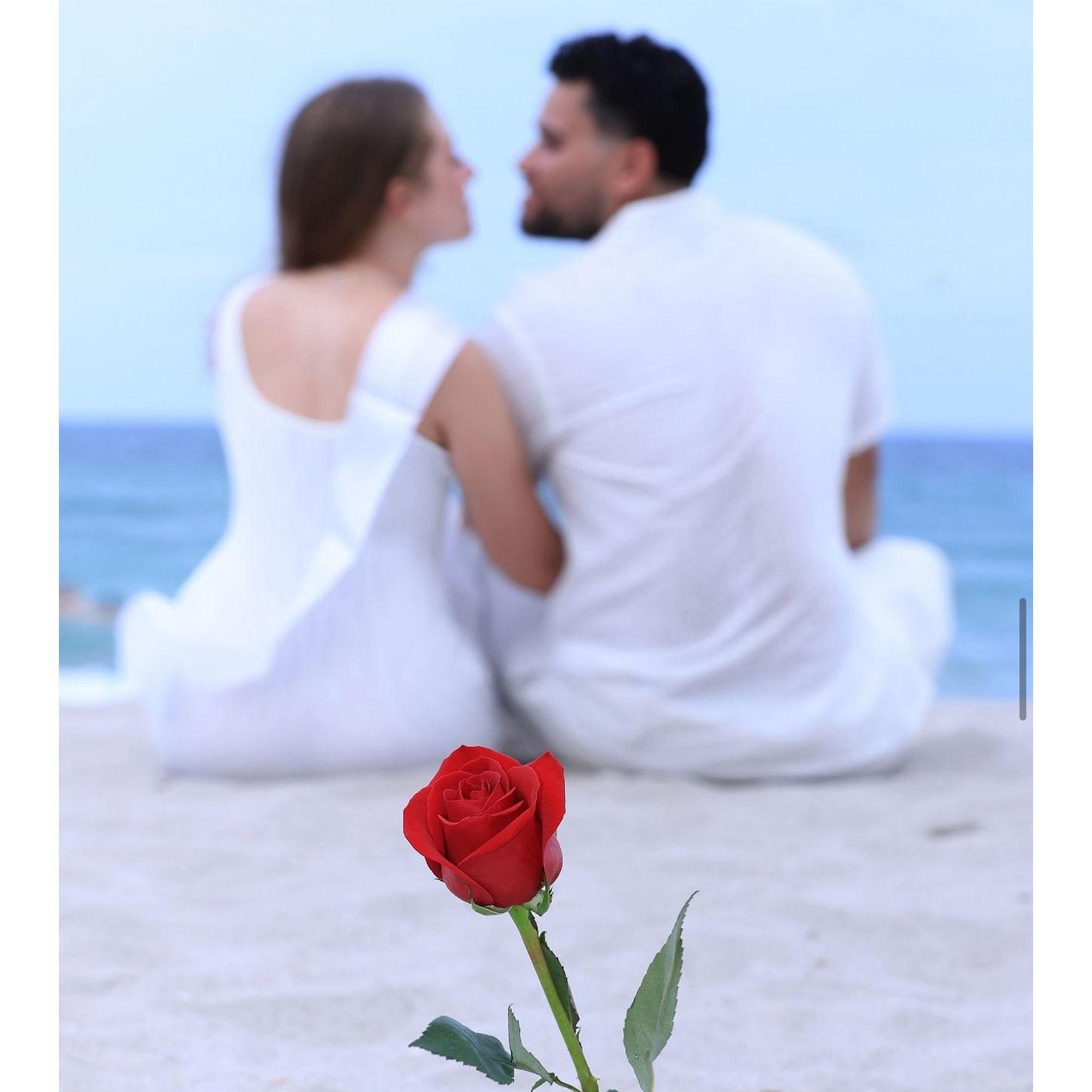 Engagement, July 2024