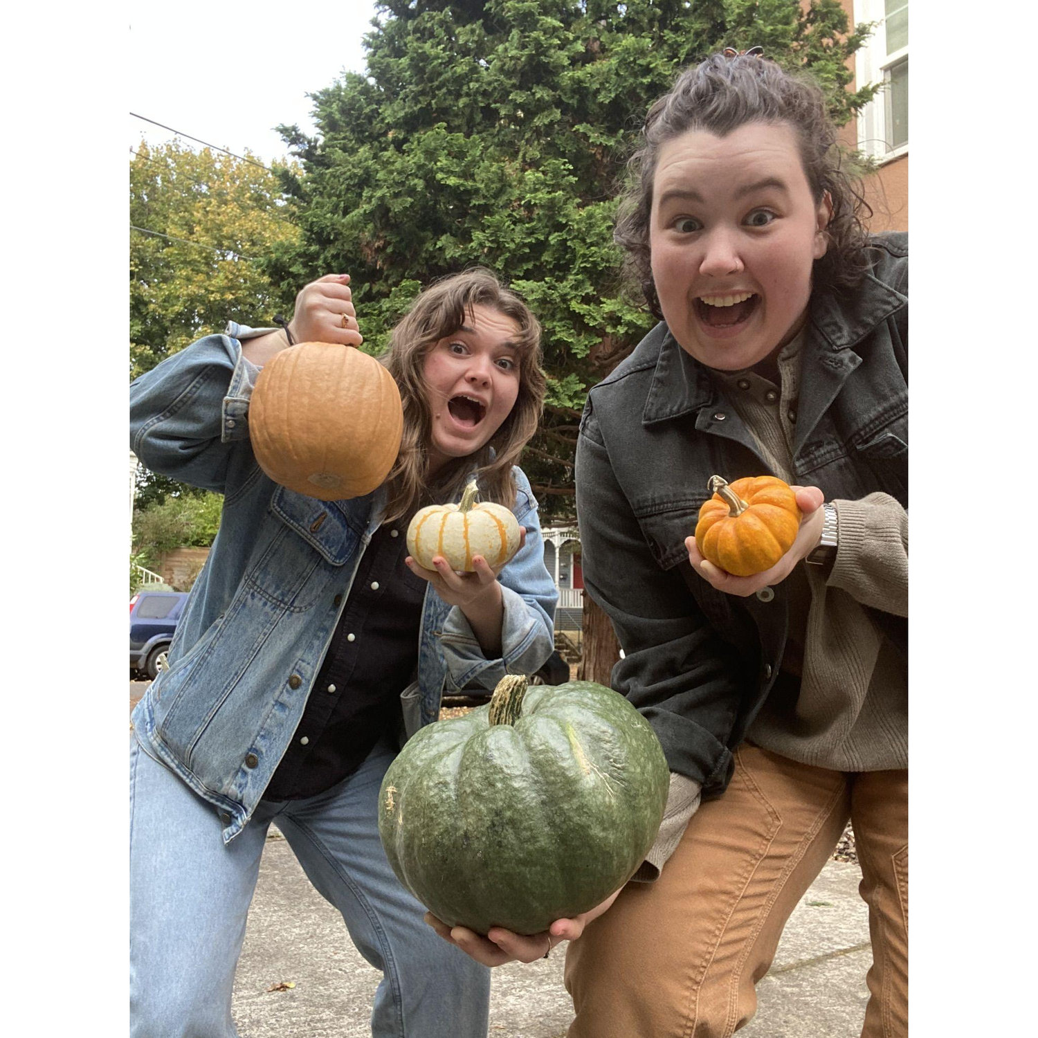 pumpkin picks, 2022