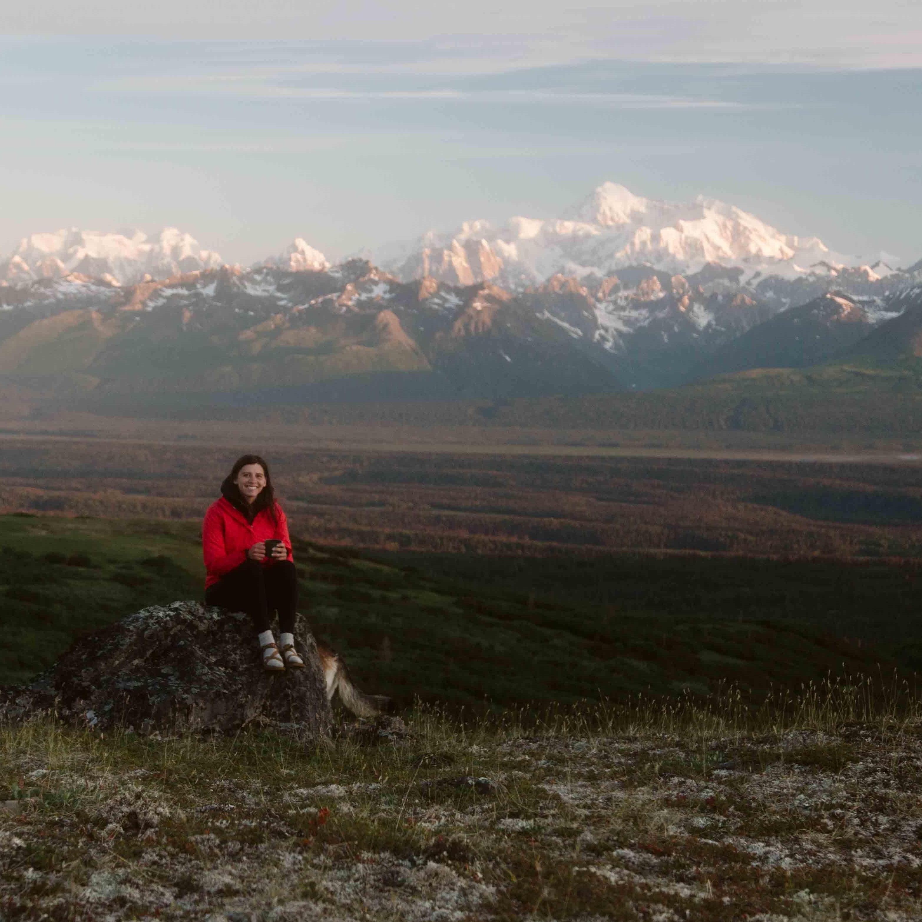 Denali view from our campsite - we love Denali!