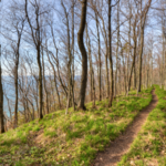 Whaleback Natural Area Hike