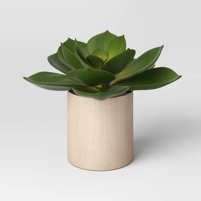 Echeveria in Wood Pot - Threshold™