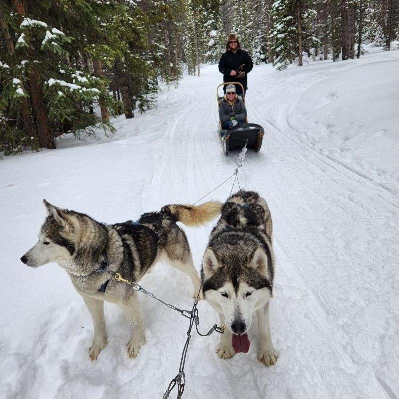 Dog sledding in Colorado - 2023