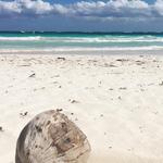 Paradise Beach