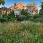 Stoneleigh: a natural garden