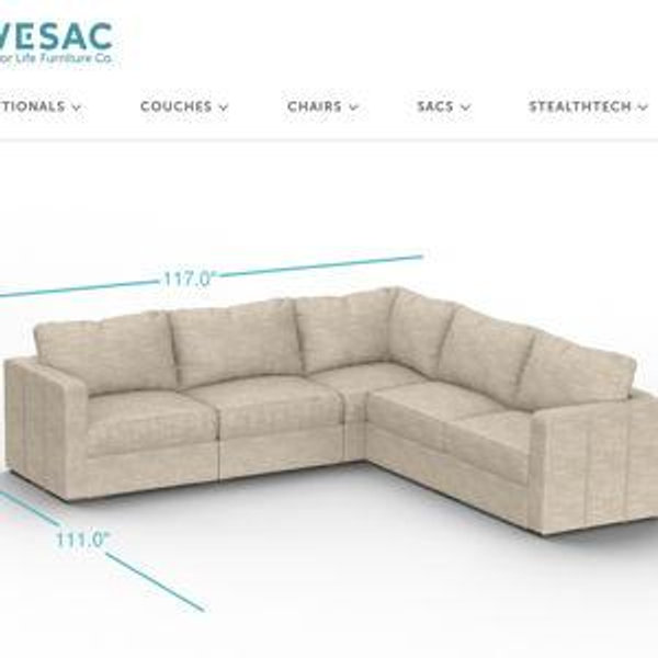 Lovesac Sectional Couch