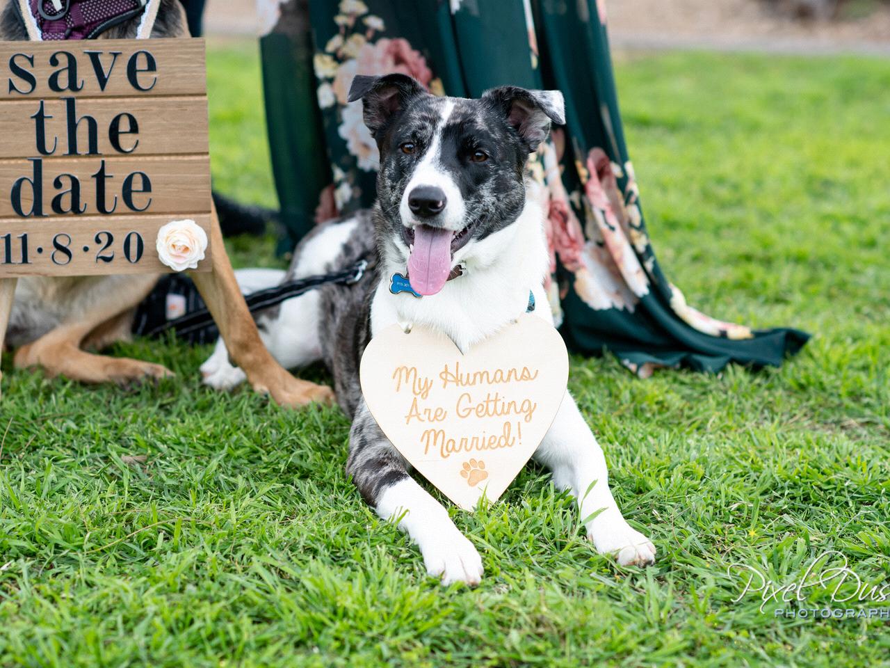 The Wedding Website of Marissa Cochran and Joshua Hendrick