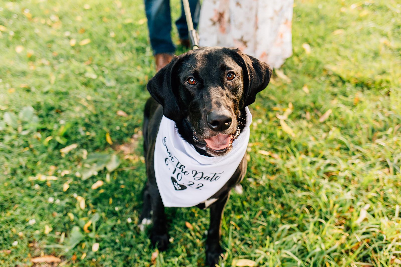 The Wedding Website of Erin Davis and Wes Biser
